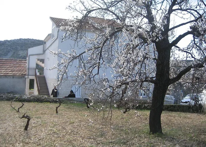 Apartment Marusic *